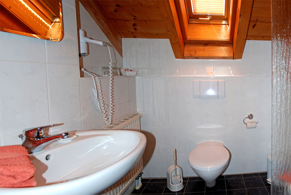 Badezimmer Doppelzimmer Dachstudio